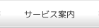 �T�[�r�X�ē�